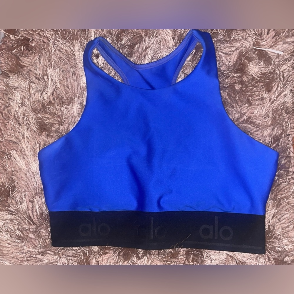 Blue Alo Yoga Sports Bra